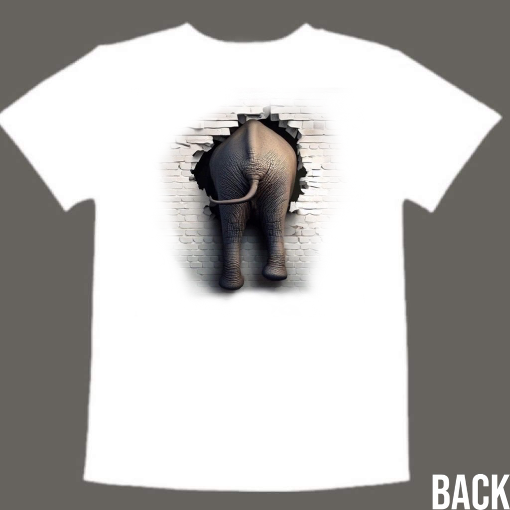 Elephant through the wall (kids)