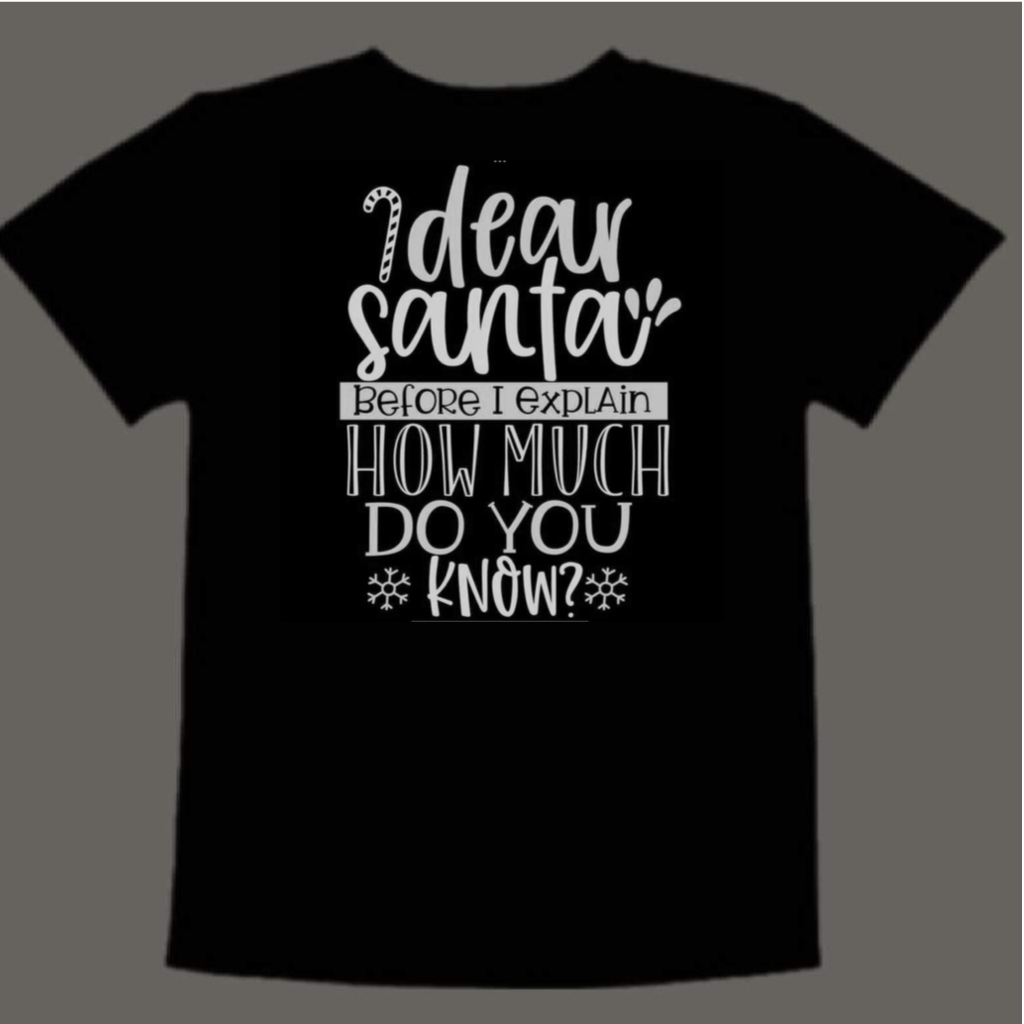 Dear Santa… (kids)
